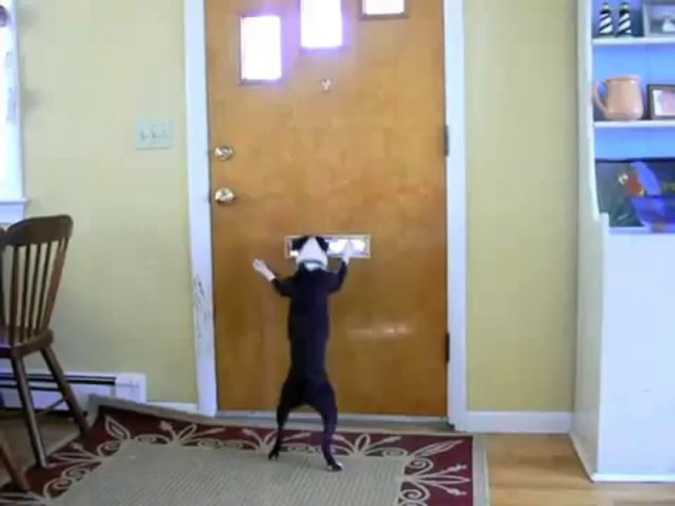 Réception du courrier