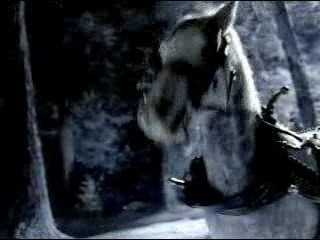 Budweiser - Farting horse