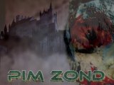 Pim Zond - Ambient Electronic Soundtrack Excerpt - 