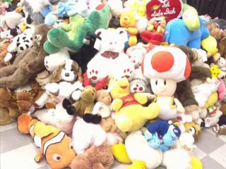 Imported Products For Kids