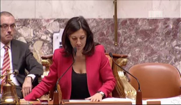 ACTUALISATION DE LA LOI ORGANIQUE N° 99-209 DU 19 MARS 1999 RELATIVE À LA NOUVELLE-CALÉDONIE (C.M.P.) - DIVERSES DISPOSITIONS RELATIVES AUX OUTRE-MER (C.M.P.) (discussion générale commune) - Jeudi 31 Octobre 2013