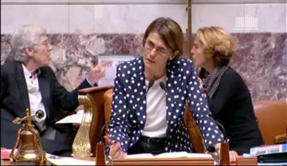 PROJET DE LOI DE FINANCEMENT DE LA SÉCURITÉ SOCIALE POUR 2014 (suite)  - Mercredi 23 Octobre 2013