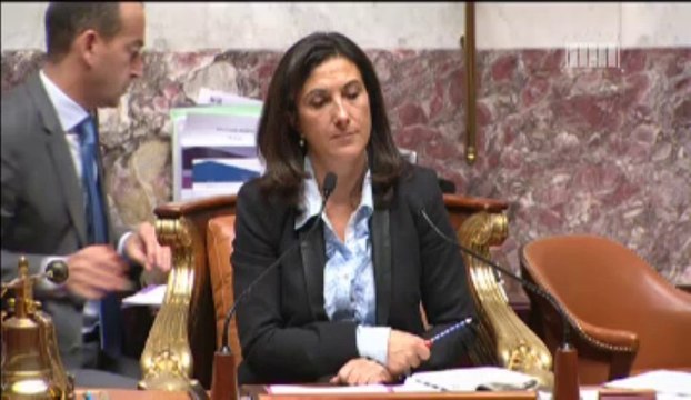 PROJET DE LOI DE FINANCES POUR 2014 (seconde partie) : DÉBAT ÉGALITÉ HOMMES-FEMMES - Mardi 29 Octobre 2013