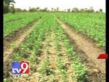 Gujarat HC issues notice against Radadiya over Junagadh land acquisition - Tv9 Gujarat