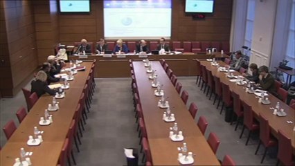 Audition de M. Chrisitan Leys, pdt et M. Christian Caleca, dg du Syndicat national de caoutchouc et des polymères (SNCP) - Mercredi 6 Novembre 2013