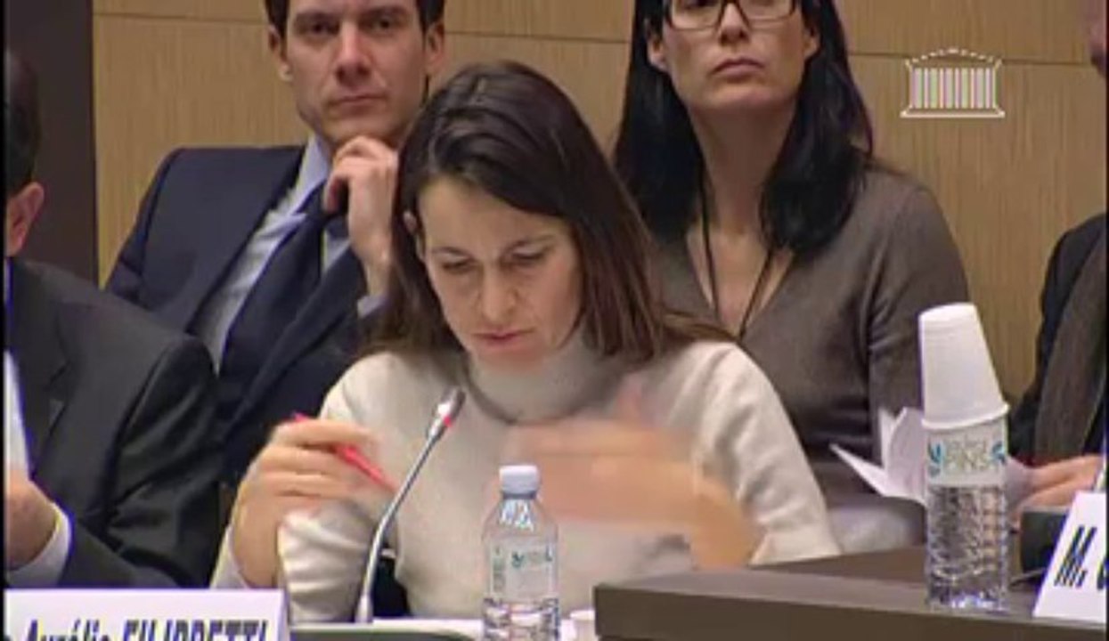 Audition de Mme Aurélie Filippetti et de M. Michel Sapin, ministres - Mardi 26 Février 2013