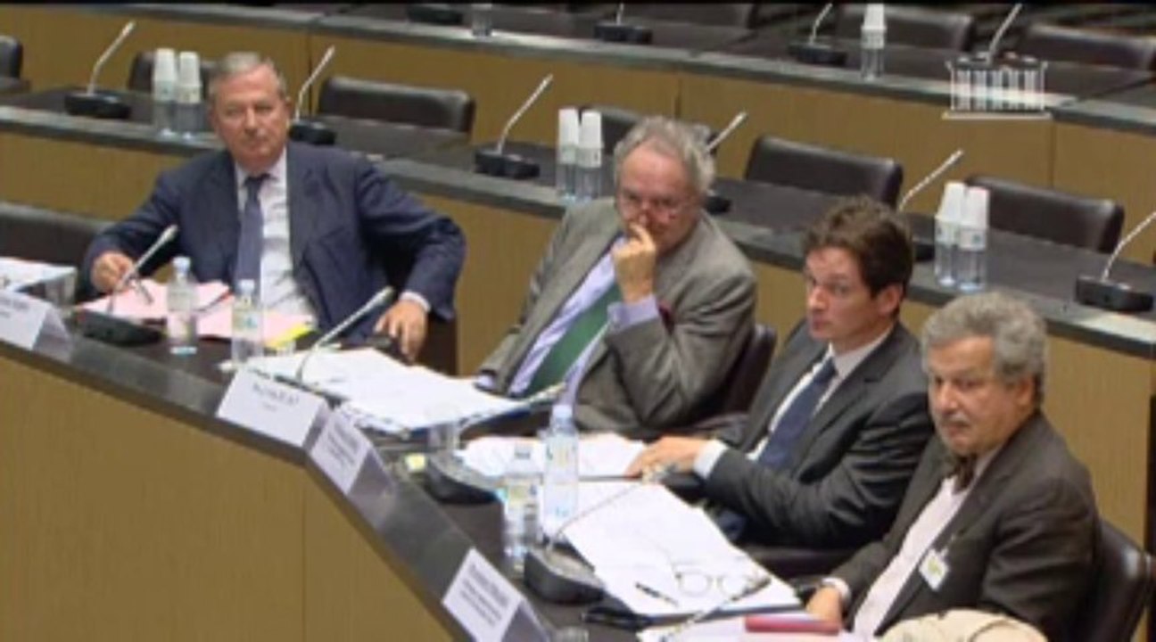 Commission d'enquète sur le contexte juridique de la situation de l'usine Goodyear d'Amiens-Nord  - Mardi 8 Octobre 2013