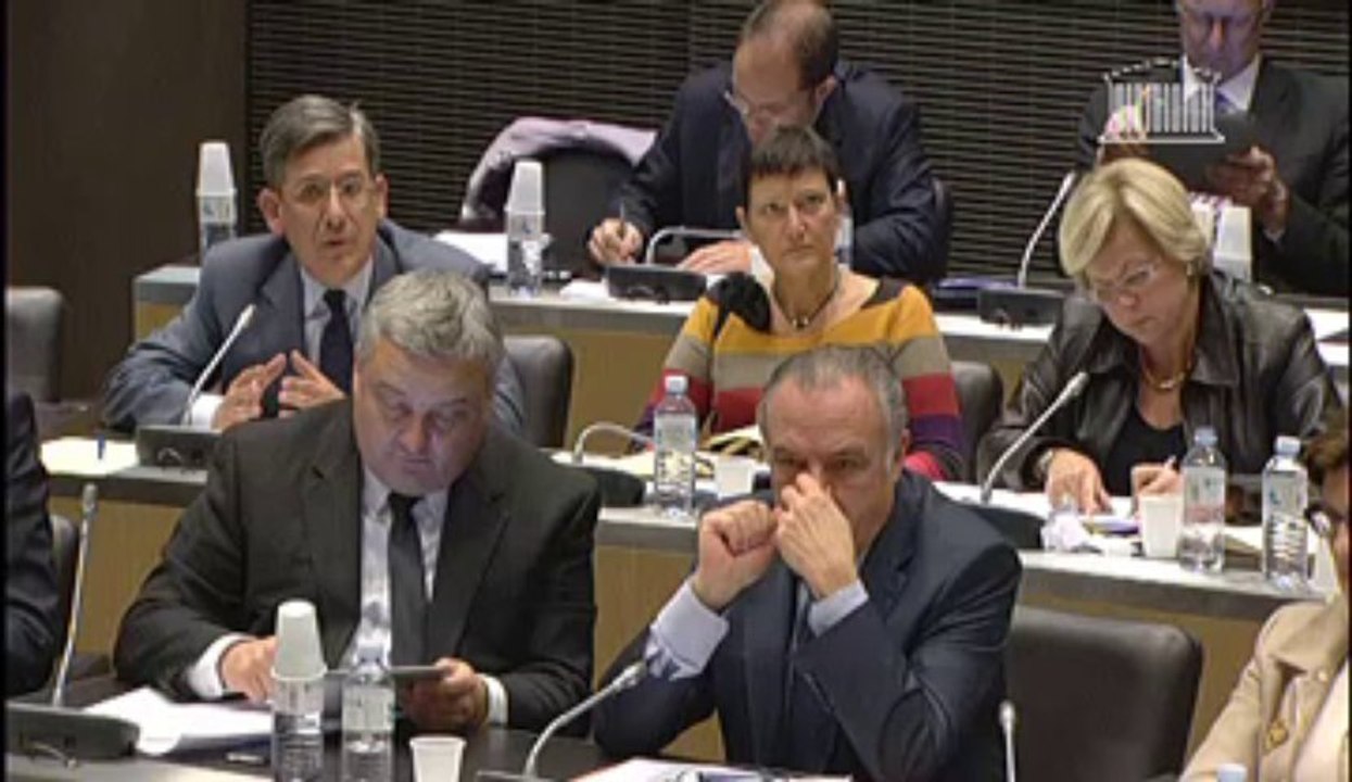 Audition de M. Louis Gallois, commissaire gl à l'investissement - Mercredi 7 Novembre 2012