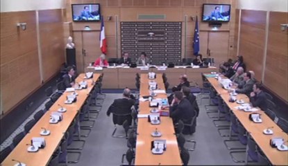 Audition de M. Marc Trévidic, juge d'instruction au pôle antiterroriste - Jeudi 14 Février 2013