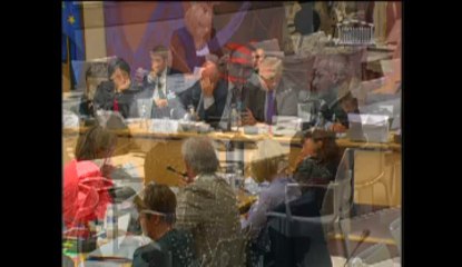 Audition de Mme Fleur Pellerin, ministre sur le dividende numérique et le déploiement du très haut débit - Mardi 1 Octobre 2013