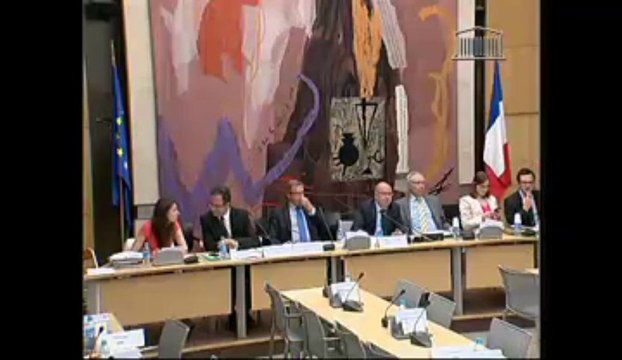 Rapport d'information sur la filière bovine - Mercredi 10 Juillet 2013