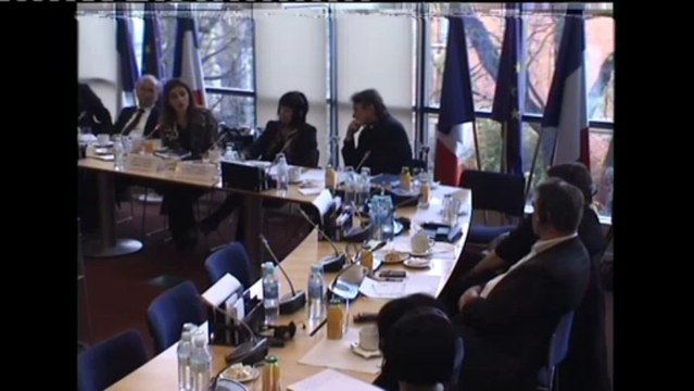 Audition de Mme Vlora Citaku, ministre de l'intégration européenne du Kosovo - Mercredi 20 Novembre 2013