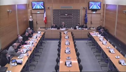 Audition des représentants des chambres de commerce, d'agriculture et de l'artisanat  - Jeudi 7 Février 2013