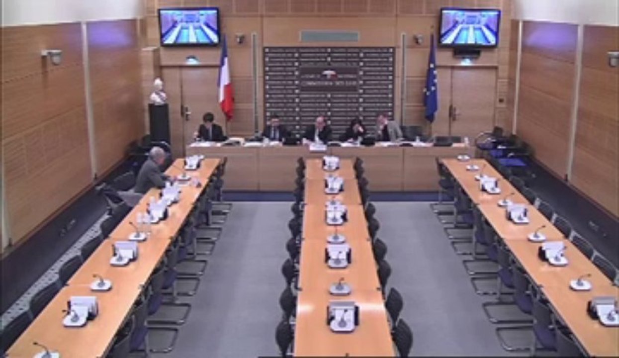 Audition de M. Eric Debarbieux, dir de l'Observatoire international de la délinquance à l'école - Mercredi 27 Février 2013