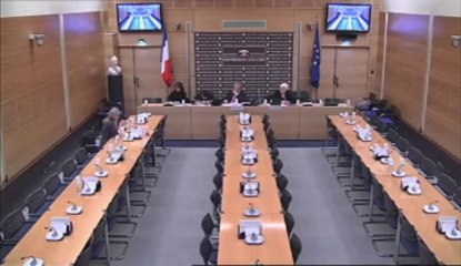 AUDITION DE Mme MARTINE HERZOG-EVANS - Jeudi 22 Novembre 2012