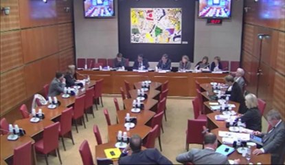 Audition de Mme Véronique Bied-Charreton, dir. de la législation fiscale - Mardi 28 Mai 2013