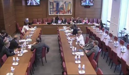 Audition de Mme Marie-Hélène Valente, ancien chef de cabinet du ministre délégué chargé du Budget  - Mercredi 5 Juin 2013