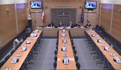 Audition de M. Michel Gaudin, ancien préfet de police de Paris - Mardi 6 Novembre 2012