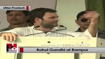 Rahul Gandhi in Rampur: Country achieved maximum economic growth under UPA