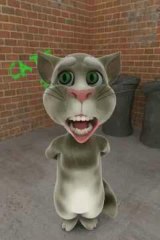 Funny Cat Must Watch.... _ Watch Facebook Videos - Download - Share