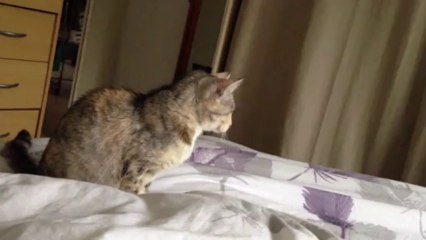 Vous croyez que je peux faire le buzz avec ça?? ^^