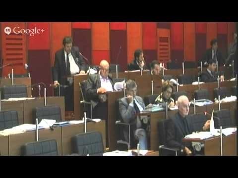 Napoli - Seduta consiliare del 21 novembre 2013 (terza parte)
