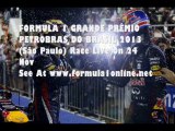 F1 Brazilian Grand Prix (Sao Paulo) 2013 Nov 2013