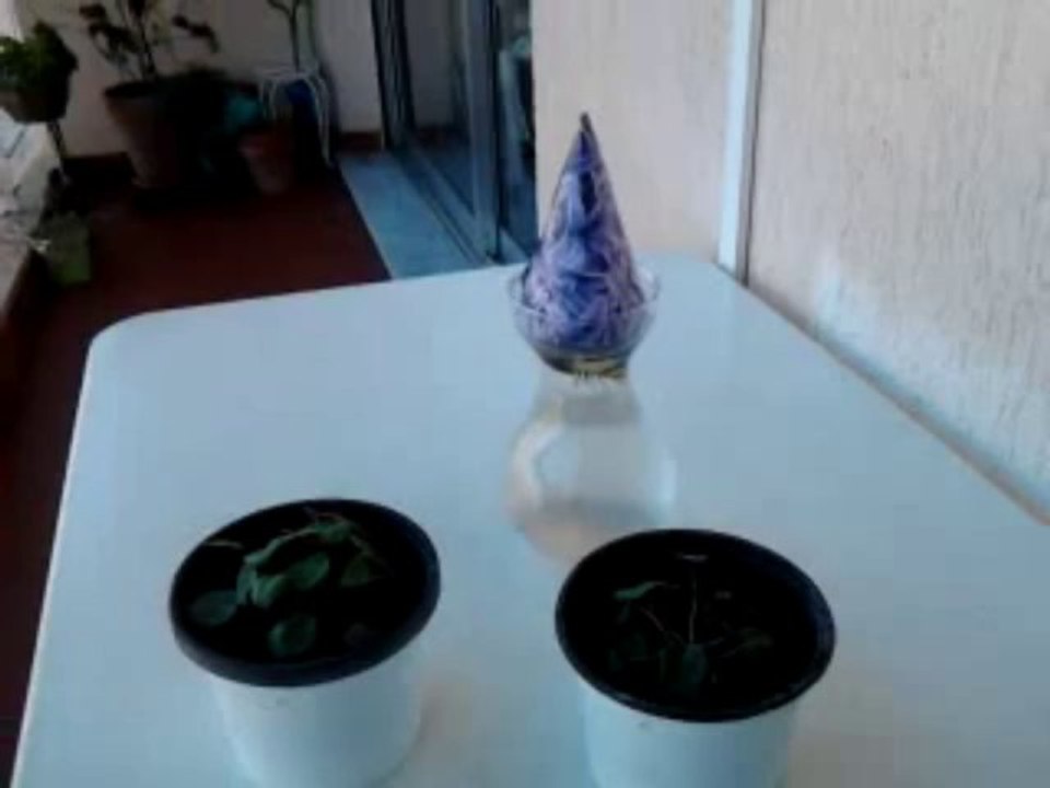 Vidéo0041