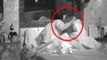 CHECK OUT | Kushal-Gauhar Caught Smooching In The Night | Bigg Boss 7