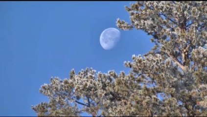 Kırağı ile gelen güzellik