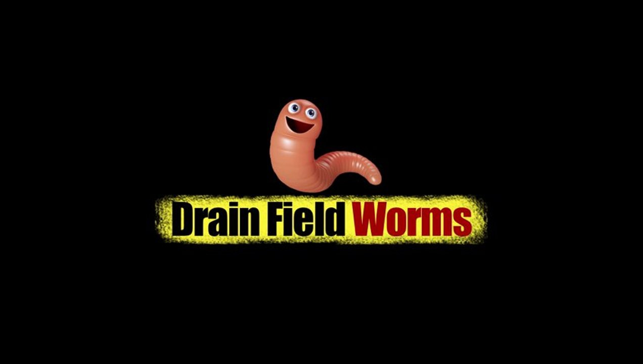 Clogged Drain Field