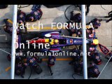 Formula One Live Brazilian Grand Prix (Sao Paulo) 24-11-2013