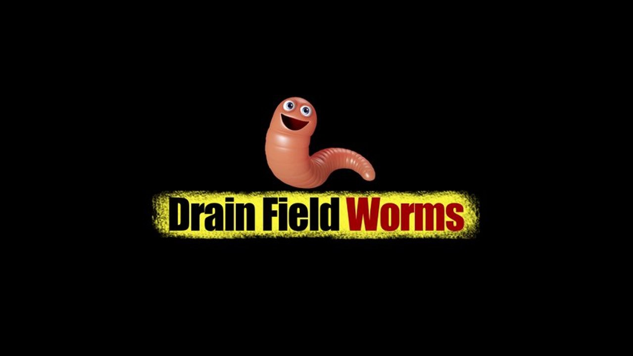 Drain Field Problems