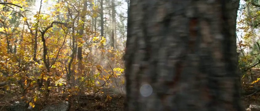 Du Sang et des Larmes - Bande-annonce #1 [VF|HD720p]