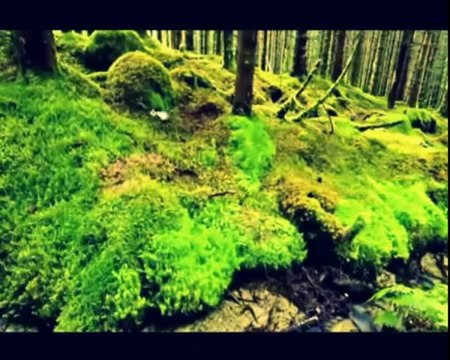 Cemile Sönmez - pazarcık yazısı -kolaj Serbülent Öztürk