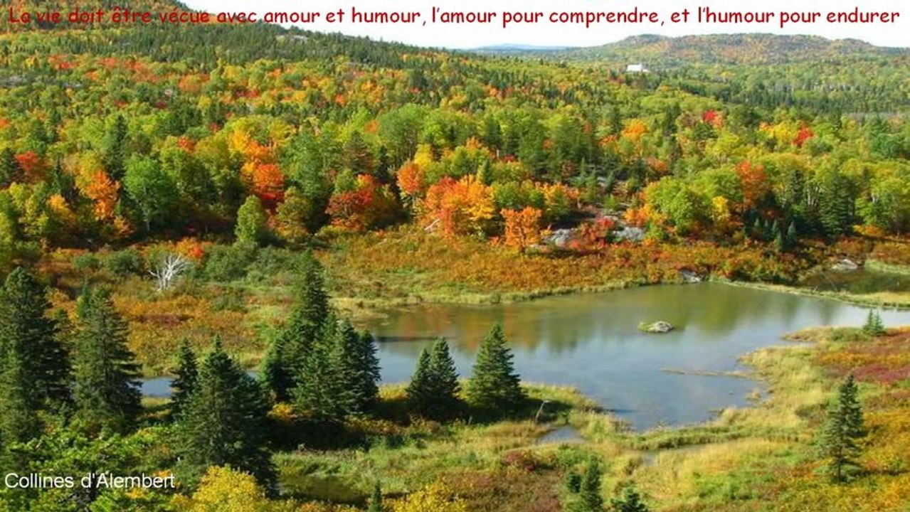 Magnifique (PP720)