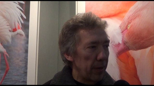 Montier 2013 : Patrick Blin