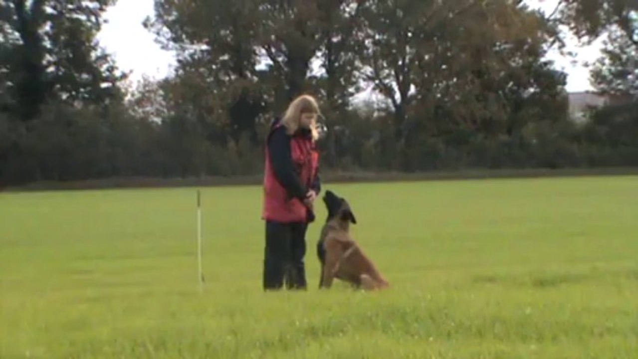 Hellboy piste libre en entrainement Vieillevigne 23.11.2013