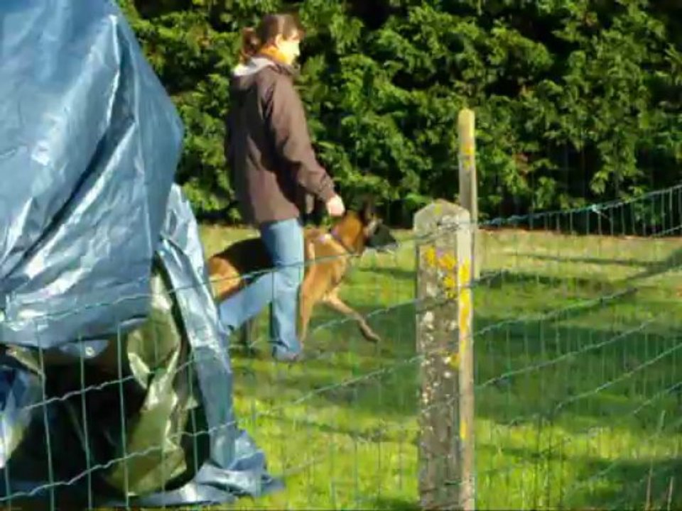 concours obé  sorinières