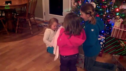 Avoir un Chat pour NOEL - Compilation