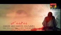 HAYE ALI HAYE HUSAIN, Mir Hassan Mir 2013 14