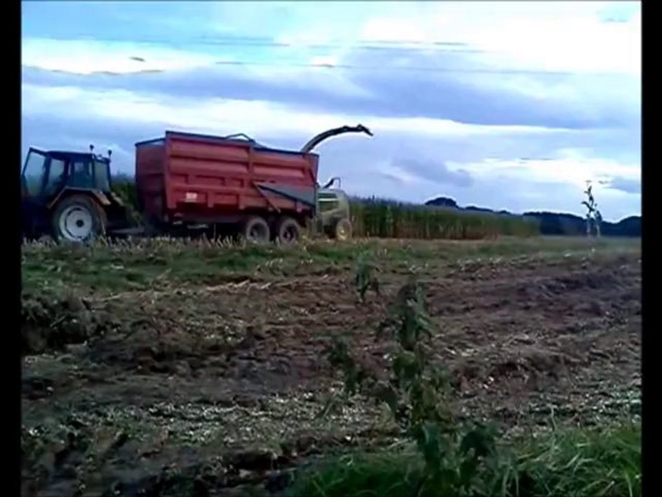 Ensilage de Maïs 2013 n°7