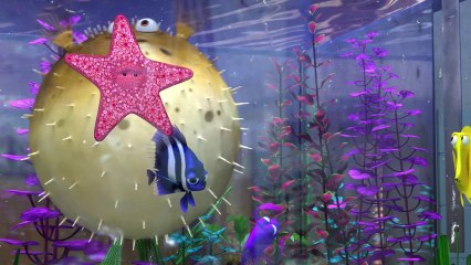 FINDING NEMO 3D Trailer | Festival 2012