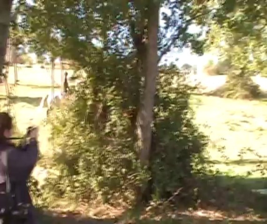 Quali et Lucile, débuts sur le cross, domaine de Millegrand