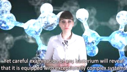 The Striking Truth Hidden in the Amino Acid Production System