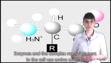 The Amino Acid Miracle