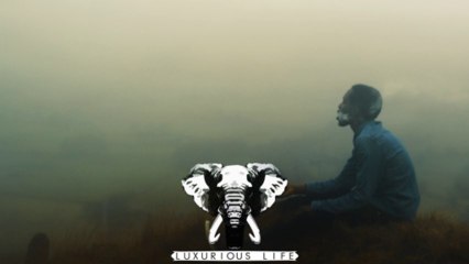 Meesha - Stayed (Feat. Warsan Shire)