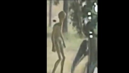U.F.O's. and E.T's: 2 Different Aliens. Which One Would You Rather Be?