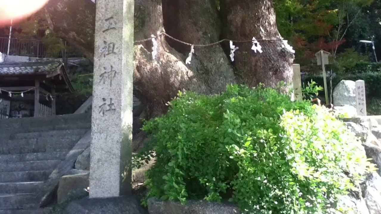玉祖神社（たまのおやじんじゃ）