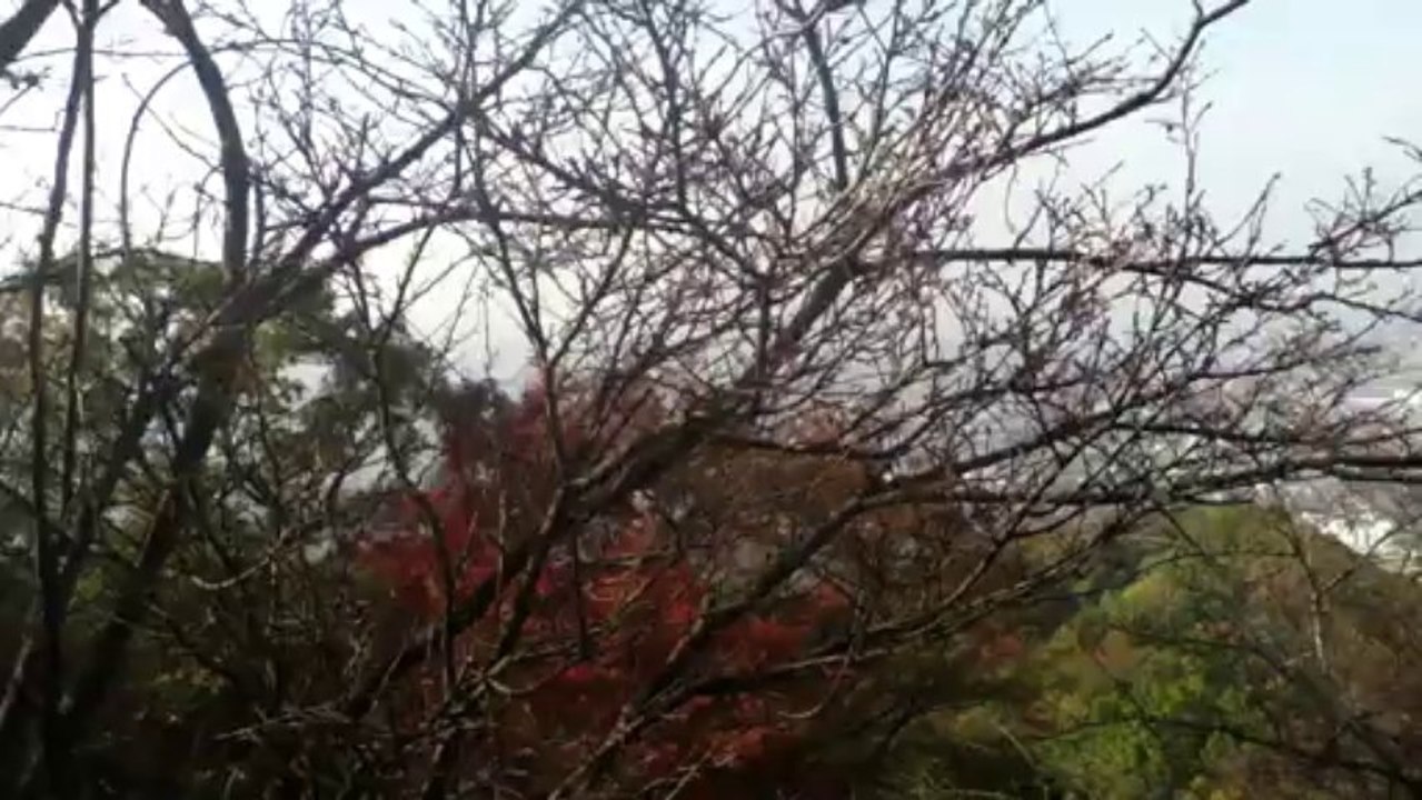 水呑地蔵（みずのみじぞう）からの景色